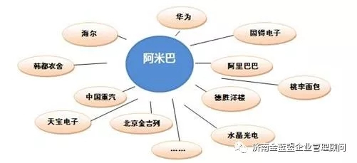 阿米巴 一種經營方式與企業管理的落地實踐